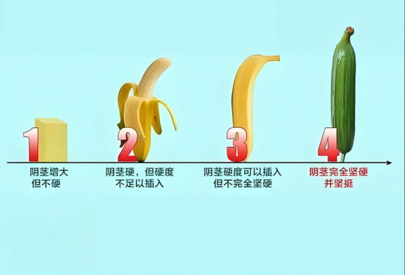 哪类人不适合用延时喷剂?这几种情况千万别硬上的图片 第2张 勃起硬度示意对比图 第2张