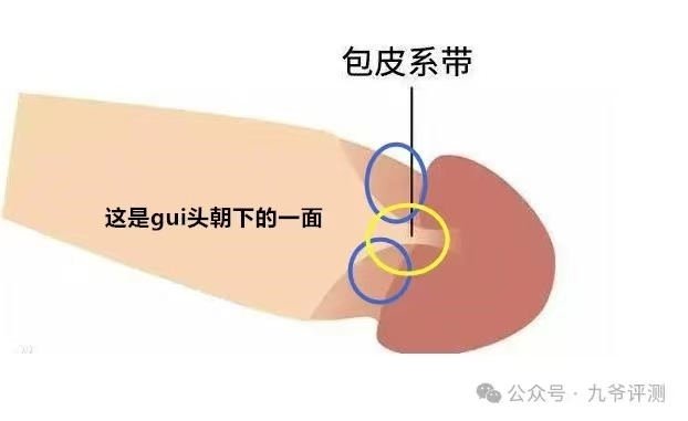 新手使用喷剂没有效果，可能遇到这些问题！