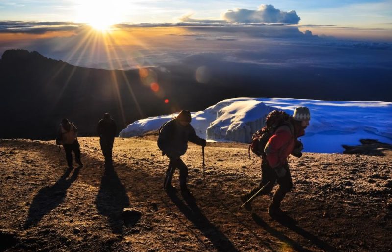 男人到底多久才算早泄？动物世界早就给出答案！