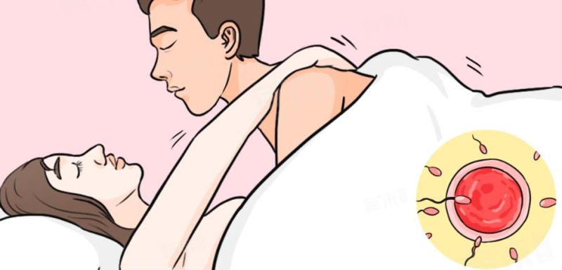 男人到底多久才算早泄?动物世界早就给出答案! 文章配图 图片第3张 - 九爷评测